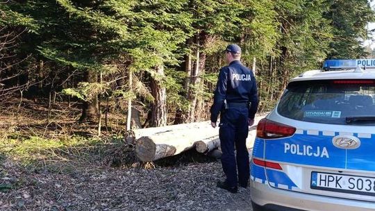 Śmiertelny atak niedźwiedzia pod Sanokiem – służby z bronią gładkolufową zabezpieczają miejsce zdarzenia