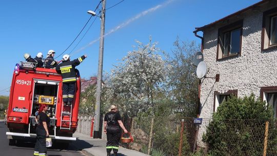 Śmigus-dyngus po strażacku [FOTO, WIDEO]