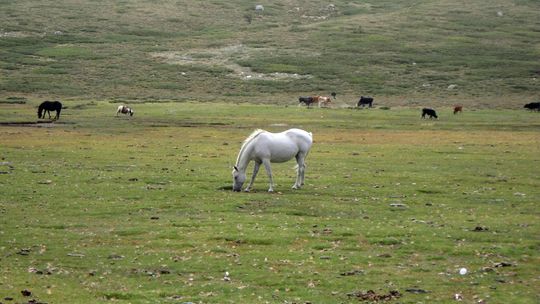 Spacer w korsykańskich chmurach