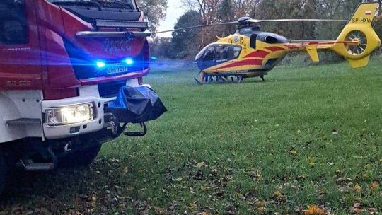 Spadł z drzewa podczas prac wycinkowych. Rannego przetransportowano do szpitala
