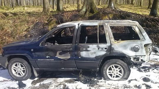 Spalił się samochód w lesie