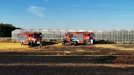 Spaliły się 2 hektary Spaliły się 2 hektary