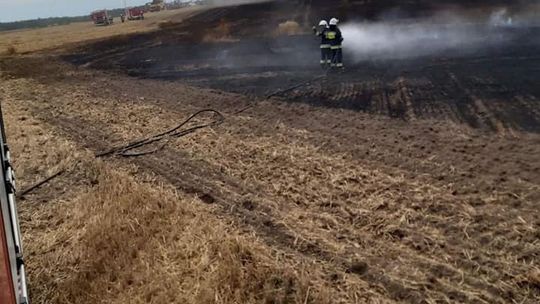 Spaliły się 3 hektary zboża Spaliły się 3 hektary zboża