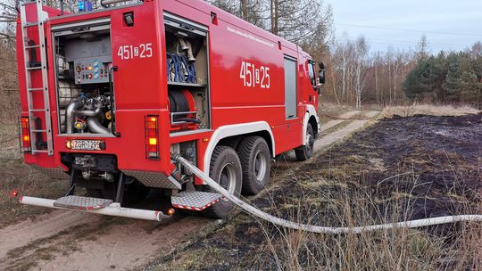 Spaliły się dwa hektary lasu oraz nieużytków [FOTO]