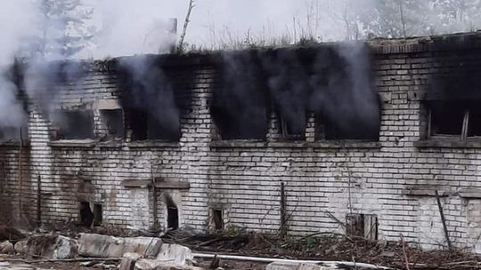 Spaliły się kurniki [FOTO]