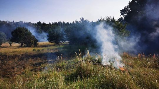 Spłonęło prawie 10 arów