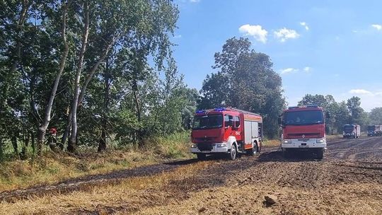 Spłonęły dwa hektary