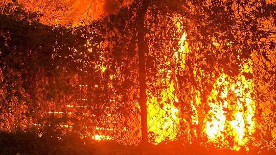 Spłonęły dwa obiekty nad jeziorem niemal jednocześnie. Policja prowadzi śledztwo