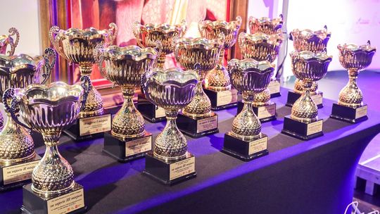 Sportowcom i trenerom nagrody przyznał marszałek województwa