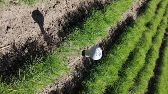 Sposoby radzenia sobie z niedoborem wody