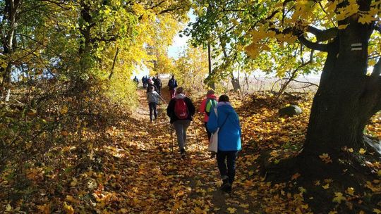 "Spotkajmy się na żółtym szlaku" - jesienne wędrowanie po gminie Gryfino