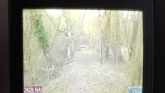 Sprawa zabójstwa wciąż budzi emocje Sprawa zabójstwa wciąż budzi emocje