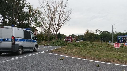  Stalowa buda i drzewo zablokowały drogę koło stacji paliw