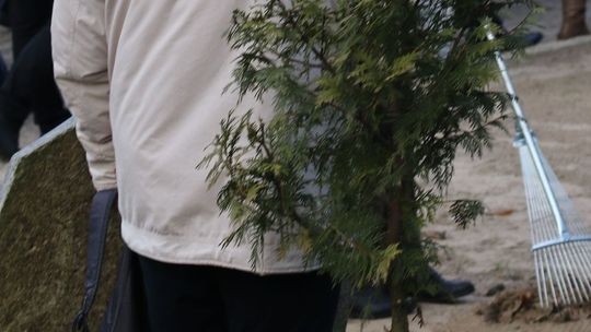 Stan cmentarza budzi zastrzeżenia czytelnika