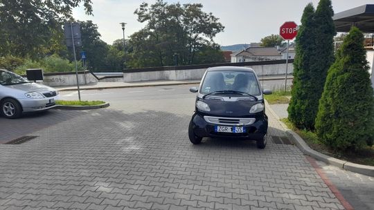 Starostwo monituje. Kiedy straż miejska zareaguje?