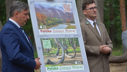 Starych drzew coraz mniej, ale znaczek jest [ZDJĘCIA]