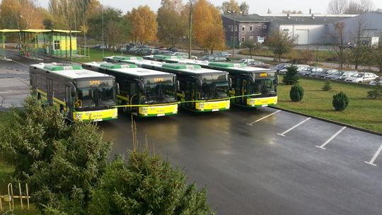 Stawiają na niskoemisyjny tabor