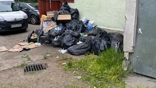 Sterta śmieci czeka na szczury? - pyta czytelnik