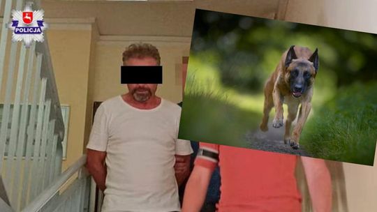 Psy zagryzły na drodze rowerzystę. Śmierci winien jest właściciel, bo nie zabezpieczył odpowiednio ogrodzenia Psy zagryzły na drodze rowerzystę. Śmierci winien jest właściciel, bo nie zabezpieczył odpowiednio ogrodzenia