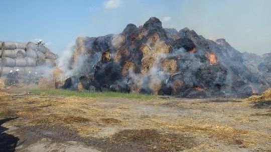 Straż gasi na polu i na drodze