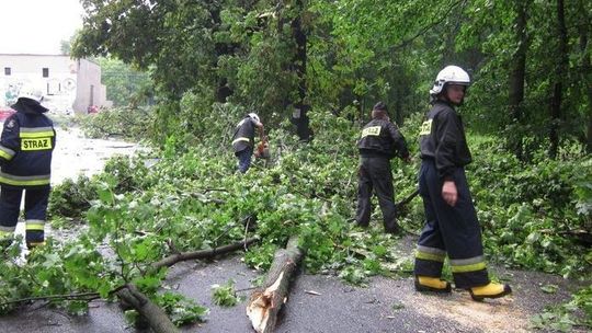 Straż pożarna czy drogowa?