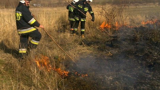 Strażacy biją rekordy akcji