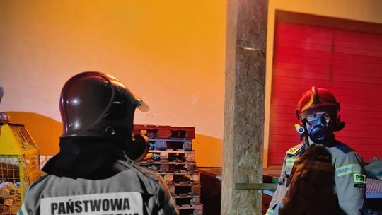 Strażacy szkolili się, jak używać lancy kominowej [FOTO]