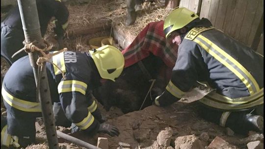 Strażacy uratowali konia Lucy [ZDJĘCIA]