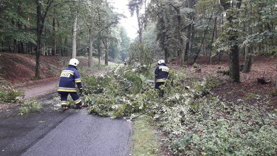 Strażacy usuwali skutki wichury
