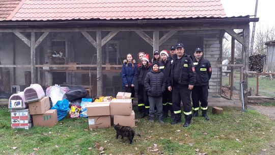 Strażacy zorganizowali zbiórkę dla kociąt