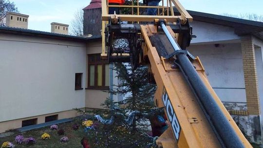 Stroili choinkę na mikołajkową imprezę Stroili choinkę na mikołajkową imprezę