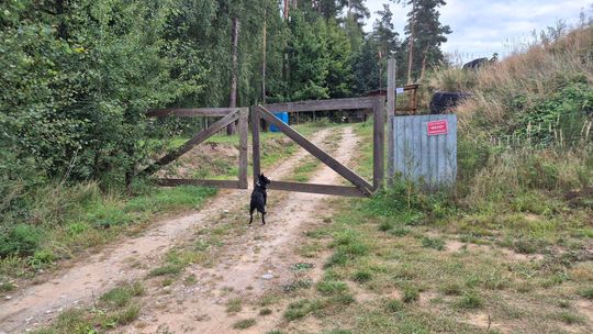Strzelnica w tej miejscowości kością niezgody. Czy Burmistrz ignoruje protesty mieszkańców wsi