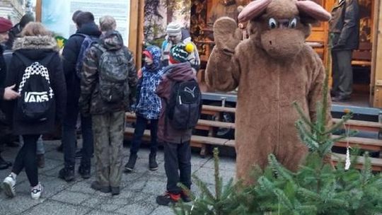 Świąteczne drzewka i leśne smakołyki od leśników. Ilość chętnych ograniczona