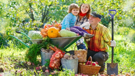Światowy Dzień Owoców i Warzyw! – świętuj codziennie