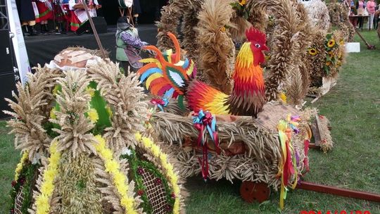 Święto chleba w gminie Gryfino