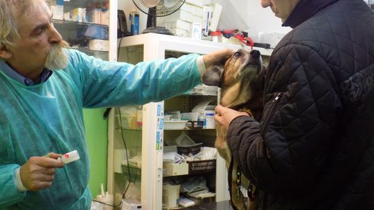 Sylwestrowy trudny czas dla milusińskich