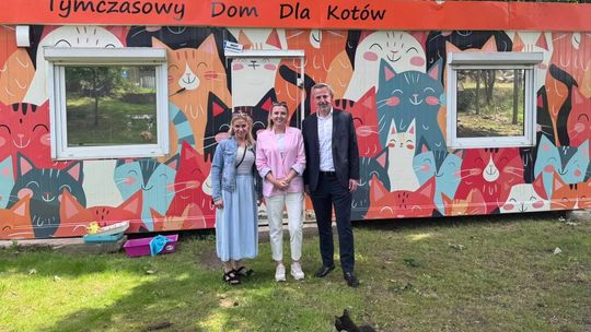 Sytuacja bezdomnych kotów w mieście i na działkach. Tymczasowy Dom dla Kotów będzie rozbudowany?