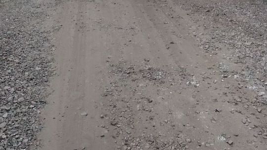 Szalał autem i uderzył w śliwki kosząc drzewo