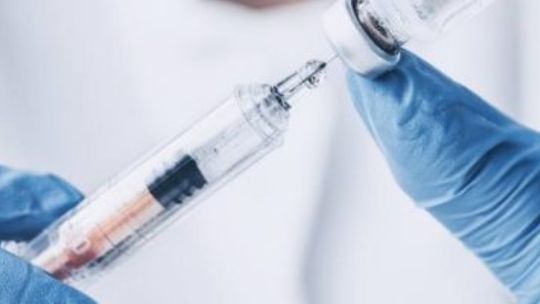 Szczepionki na koronawirusa dotarły do Polski. Jechały busem w temp. -75 st. C