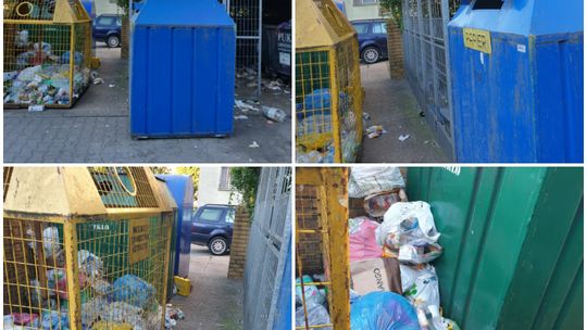 Szczury - list z Gryfina Szczury - list z Gryfina