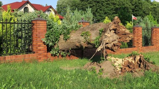 Szkody po sobotniej burzy