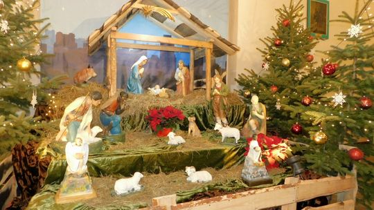 Szopka bożonarodzeniowa. Tradycję znajdziemy w kościele [FOTO]