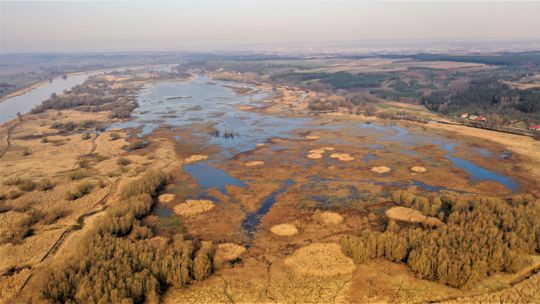  Sztuczne wyspy dla ptaków wodno-błotnych. W trosce o bioróżnorodność doliny Dolnej Odry