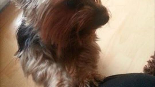 Szukają Leny. Wyznaczono nagrodę