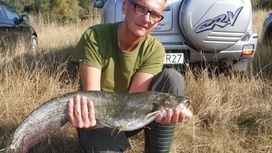 Taaka ryba na Odrze!