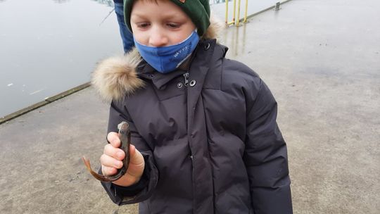 Taakie ryby złowił na kolację