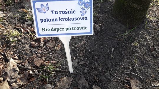 Tabliczki z błędami w parku Tabliczki z błędami w parku