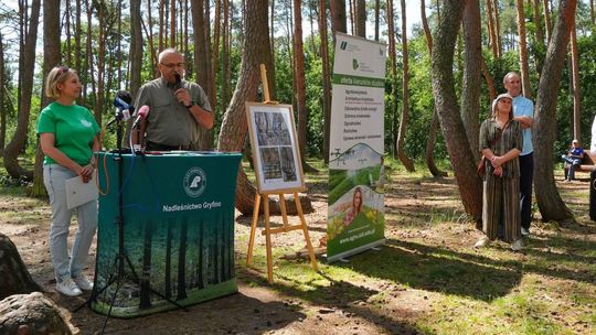 Tajemnica Krzywego Lasu koło Gryfina, Zagraj w bezpłatny quest i odkryj niezwykłą zagadkę przyrody