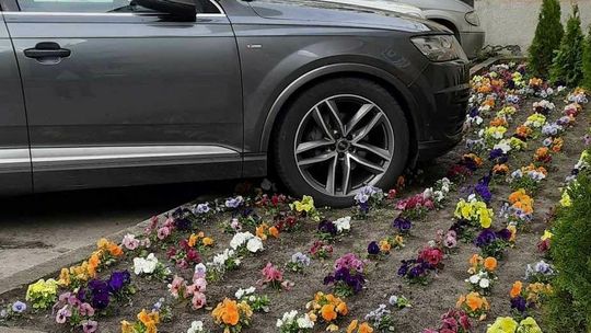 Tak dbają o kwiatki