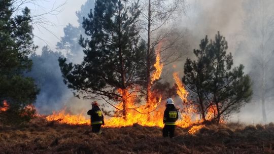 Tak gorąco i sucho, że wystarczy iskra